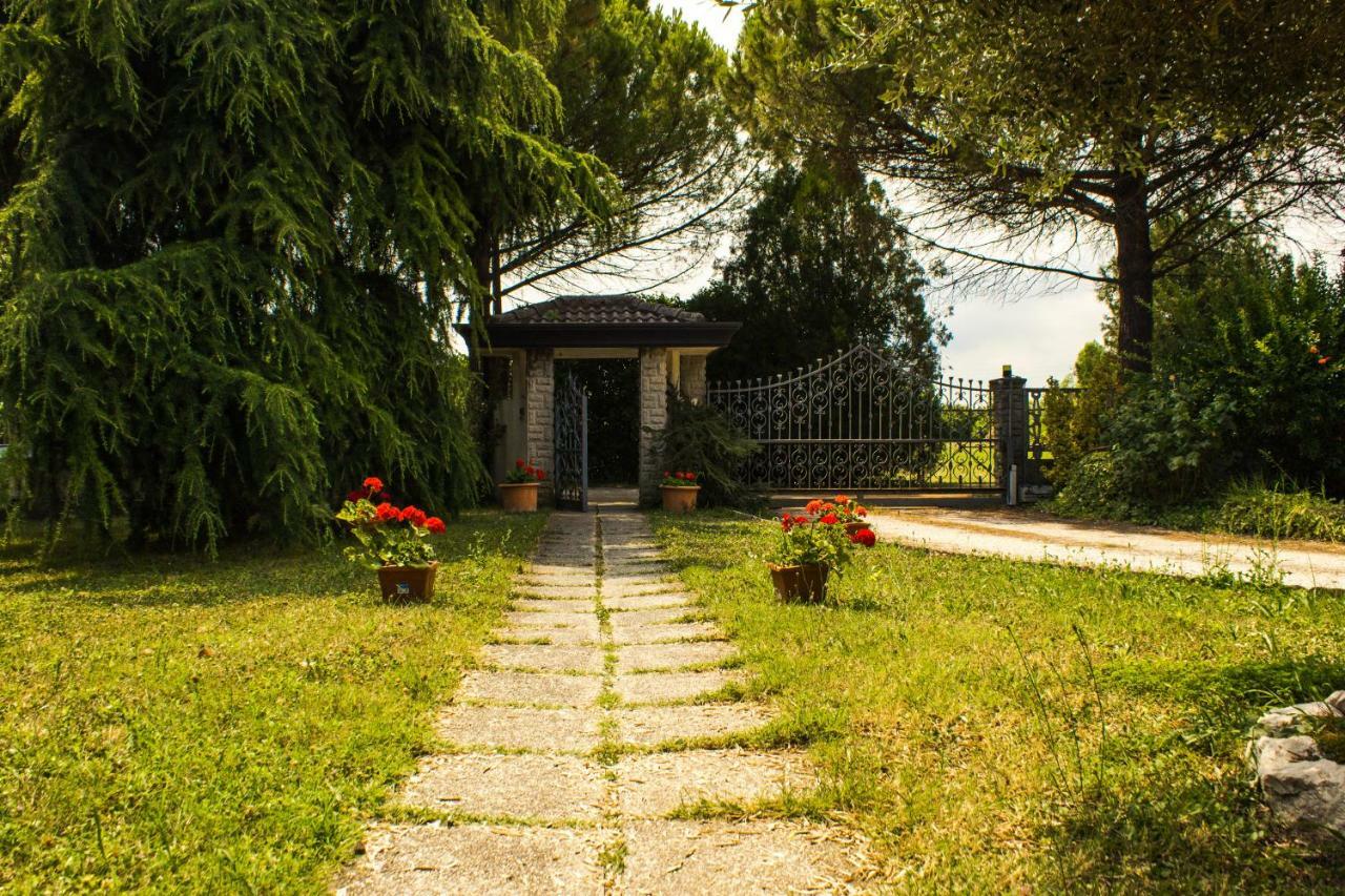 B&B Airport Venice Diego Tessera Dış mekan fotoğraf